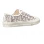 Dior Walk'N'Dior Oblique Gray