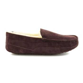 Мужские мокасины Ugg Men's Ascot Suede Chocolate