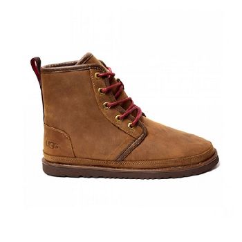 Мужские ботинки Ugg Men's Harkley Boot Chocolate