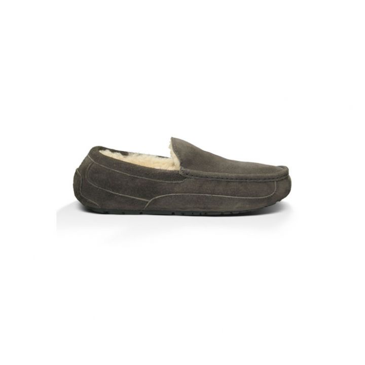 Мужские мокасины Ugg Men's Ascot Suede Grey